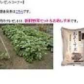 南阿蘇おあしす米